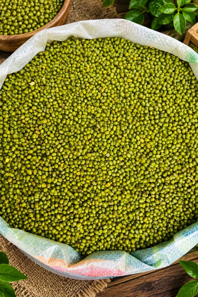 ماش اباد تاشکندی